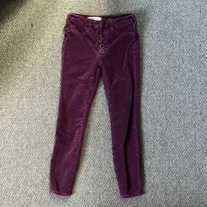 Pilcro purple stretch cords